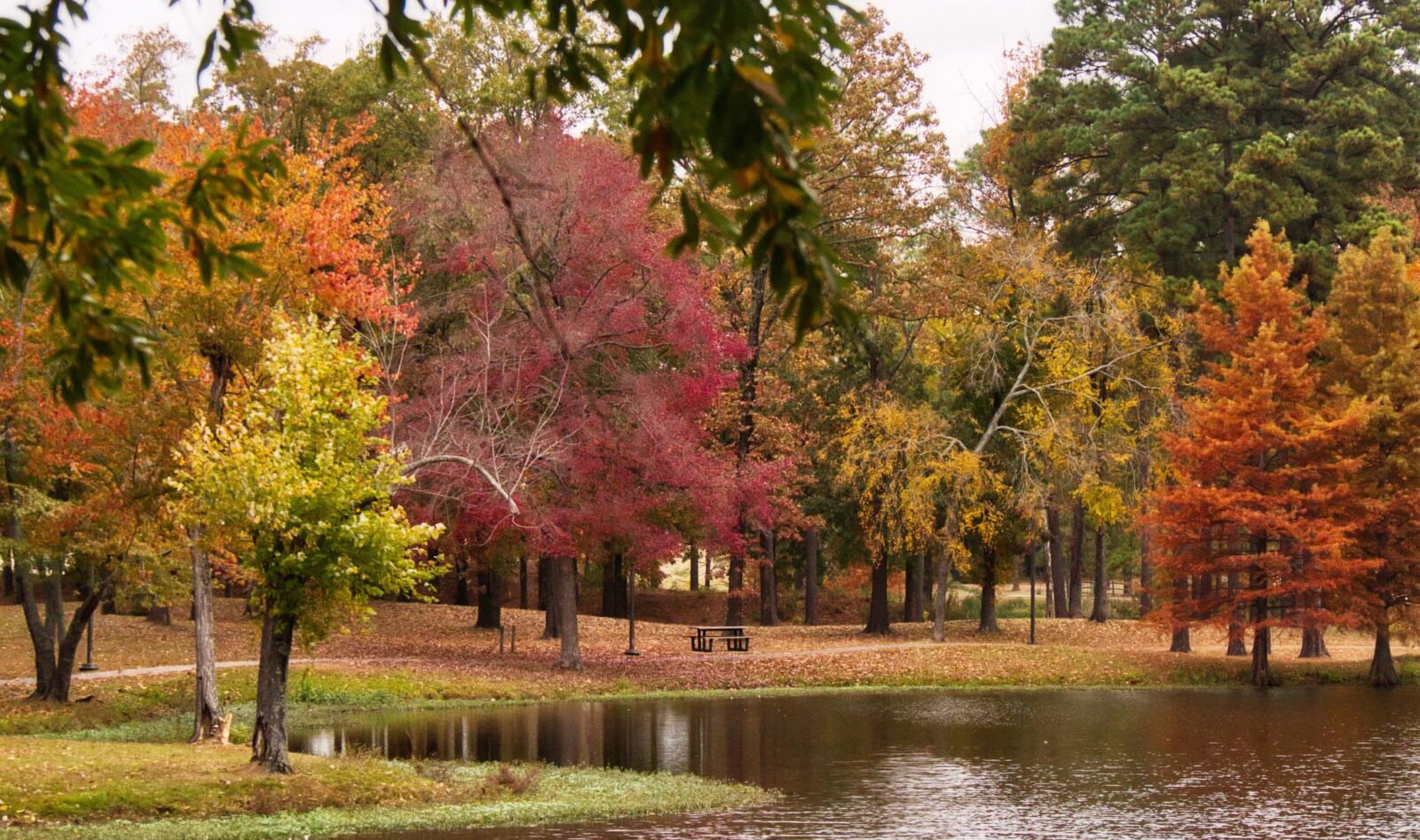 Autumn Time in Texarkana, USA | GoTXK